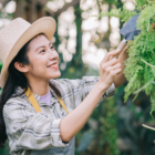 Jasa Pembuatan Taman Jakarta | Tukang Taman Jakarta | Taman Minimalis Jakarta | Vertical Garden Jakarta | Desain Taman Rumah | Ruang Hijau Jakarta | Jasa Taman Profesional | Taman Rumah Modern | Colony Garden