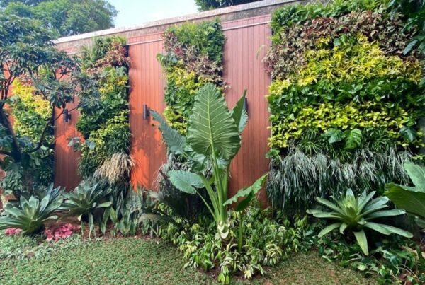 Jasa Vertikal Garden Jakarta