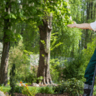 Jasa Pembuatan Taman Jakarta | Tukang Taman Jakarta | Taman Minimalis Jakarta | Vertical Garden Jakarta | Desain Taman Rumah | Ruang Hijau Jakarta | Jasa Taman Profesional | Taman Rumah Modern | Colony Garden