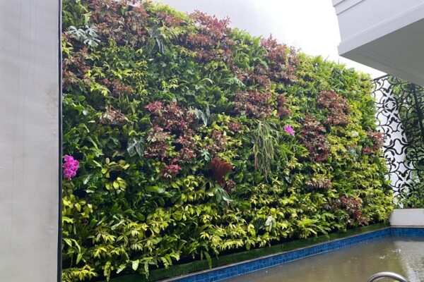 5366ffd7-f3b1-455a-a4db-bae72c33b247