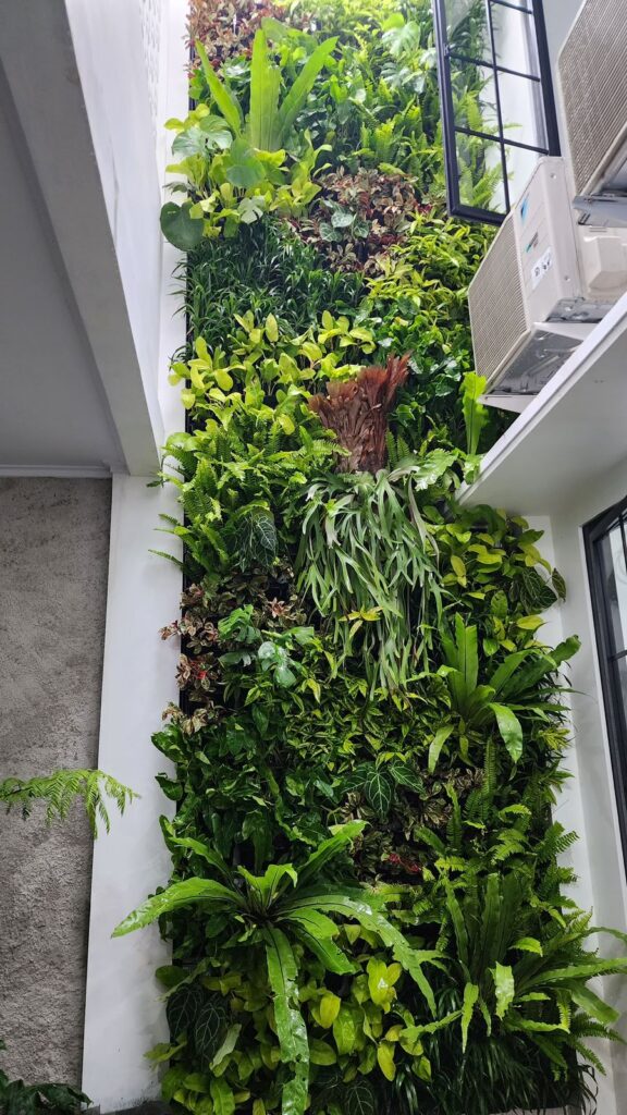 5dcc7a00-2d93-4222-82f8-3b5f8857097d