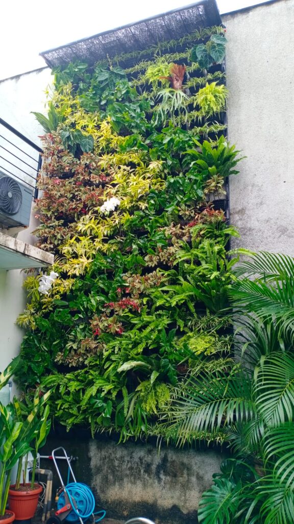 6c7f18aa-d42b-4717-a783-cf4baf647596