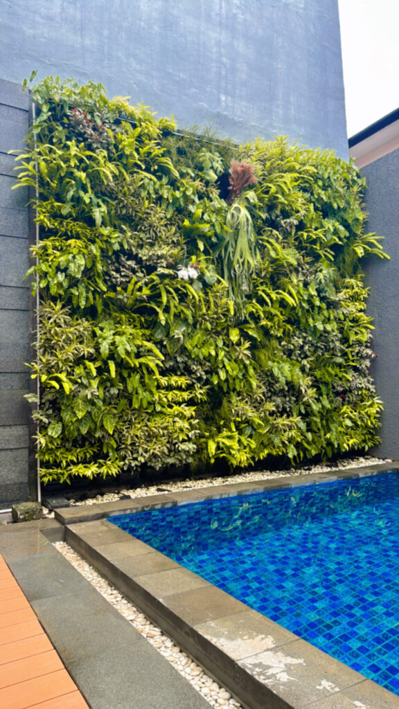 {"eId":"248345873819972","CameraPosition":1}