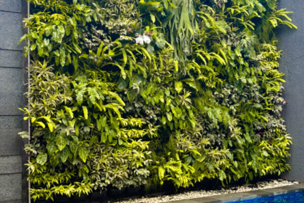 {"eId":"248345873819972","CameraPosition":1}