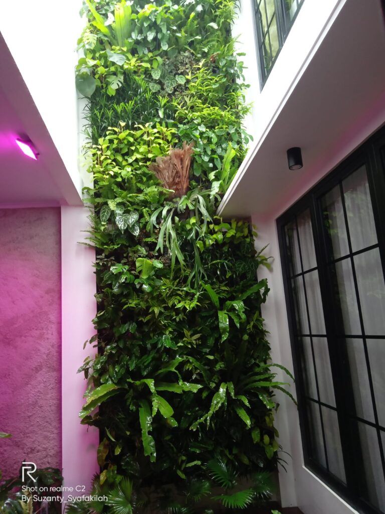 daae3cfc-4b51-42ad-a91d-f273cb31c3a2