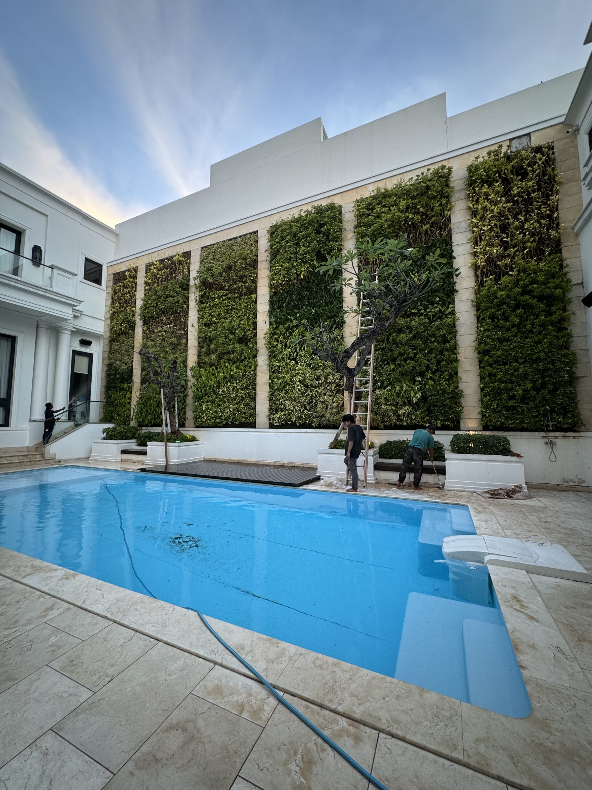 JASA TAMAN JAKARTA PROFESIONAL & TERPERCAYA