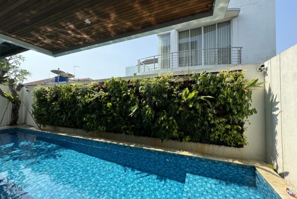 Jasa Taman Jakarta Profesional | Colony Garden