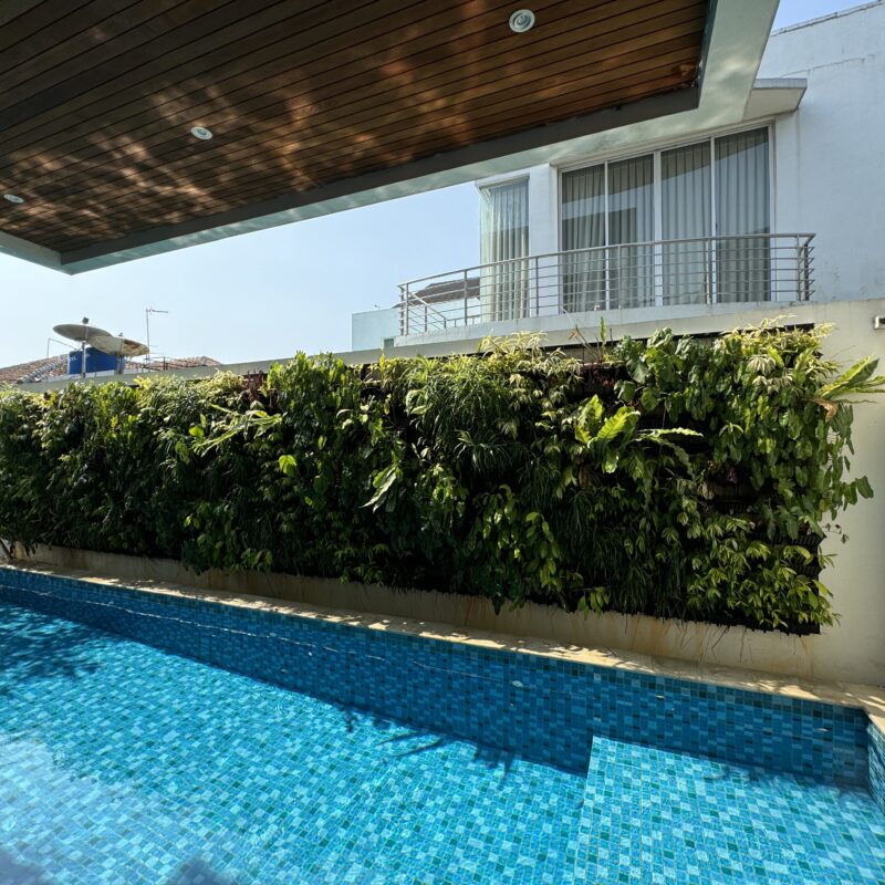 Jasa Taman Jakarta Profesional | Colony Garden