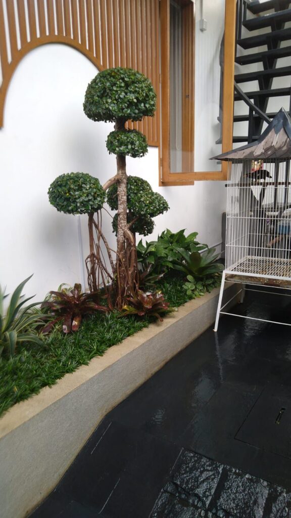 WhatsApp Image 2025-10-20 at 09.24.09_1f46665e