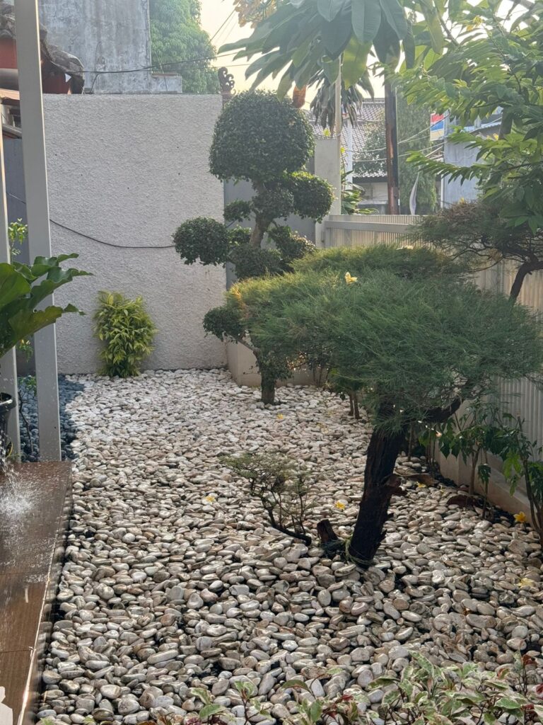 WhatsApp Image 2025-10-20 at 09.24.10_42872d30