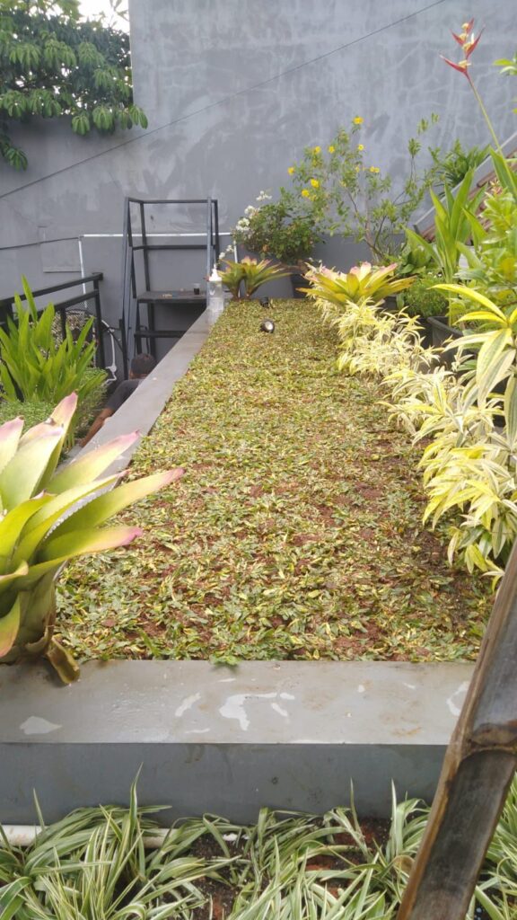 WhatsApp Image 2025-10-20 at 09.24.10_ea79e532