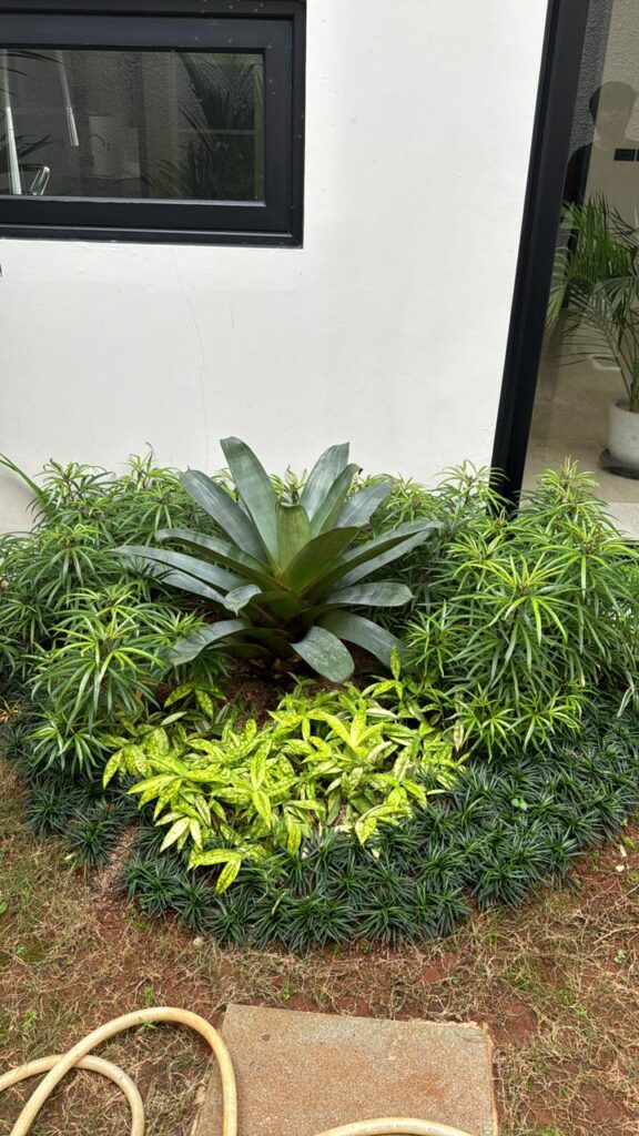 WhatsApp Image 2025-10-20 at 09.24.11_075a36b4