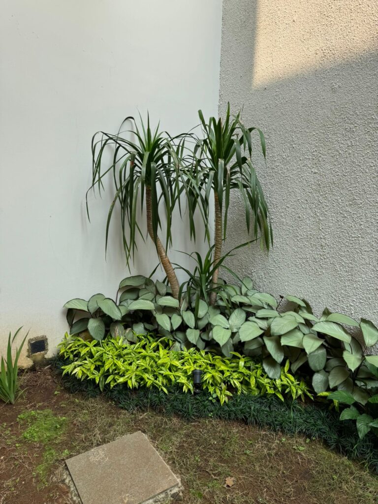 WhatsApp Image 2025-10-20 at 09.24.11_32f85879