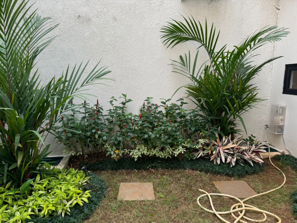 WhatsApp Image 2025-10-20 at 09.24.11_4adbba0b