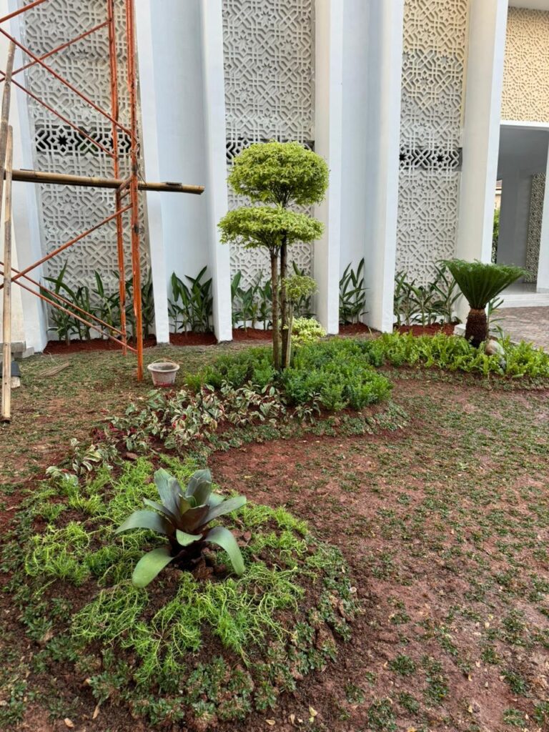 WhatsApp Image 2025-10-20 at 09.24.16_49a42e4f