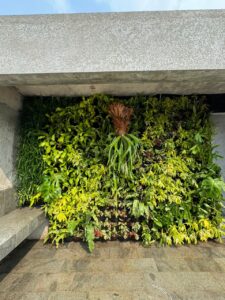 Jasa Taman Jakarta Profesional & Terpercaya