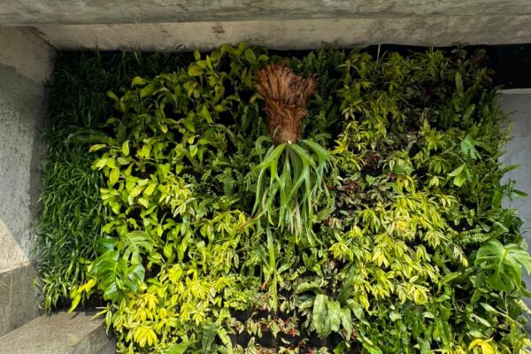 Jasa Taman Jakarta Profesional & Terpercaya