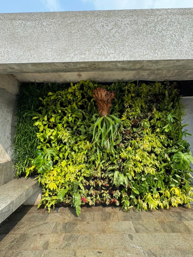 Jasa Taman Jakarta Profesional & Terpercaya Jasa Taman Jakarta Profesional & Terpercaya