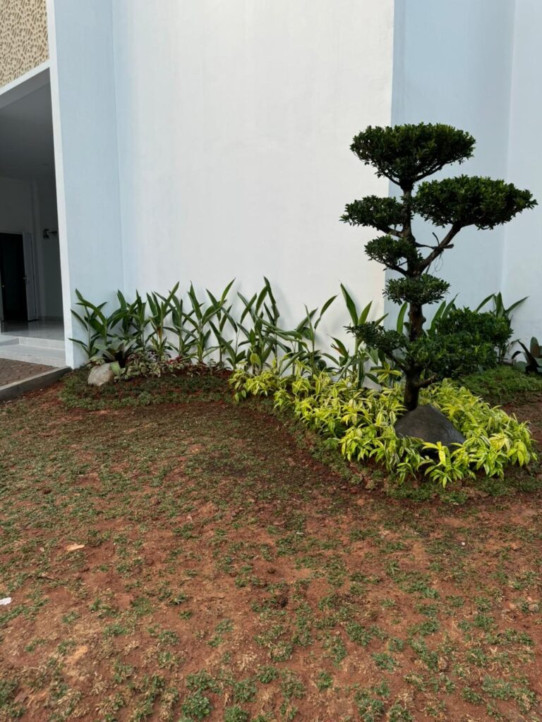 WhatsApp Image 2025-10-20 at 09.24.17_0d3bf37e