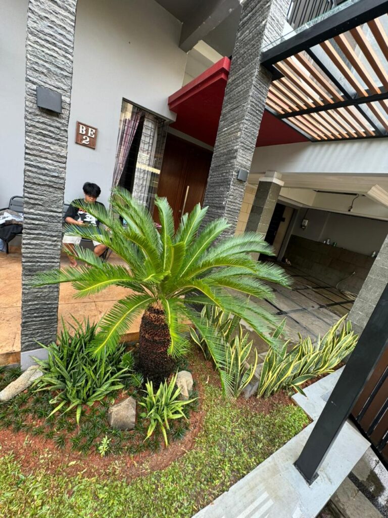 WhatsApp Image 2025-10-20 at 09.24.17_a4fadddf