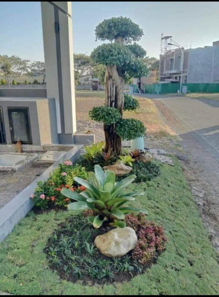 WhatsApp Image 2025-10-20 at 09.24.18_78209bb5