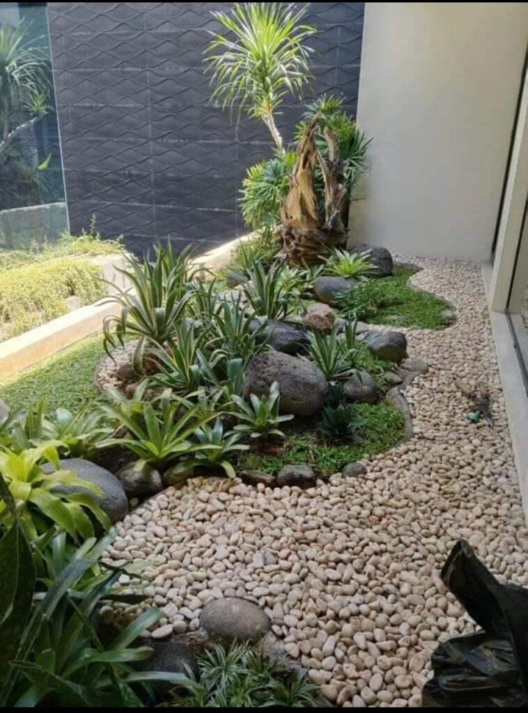 WhatsApp Image 2025-10-20 at 09.24.18_7a021bb0