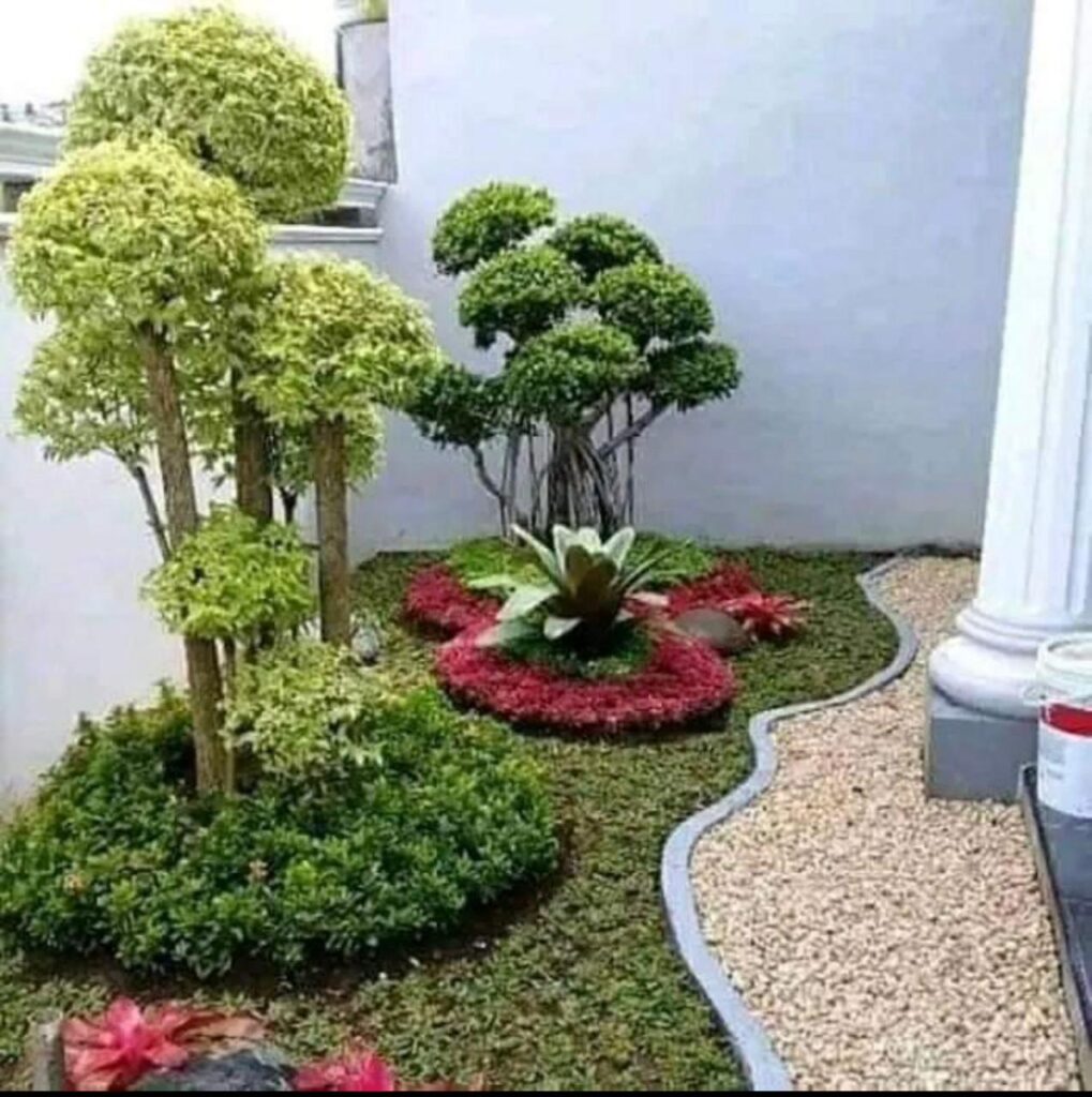 WhatsApp Image 2025-10-20 at 09.24.18_ac3916b2