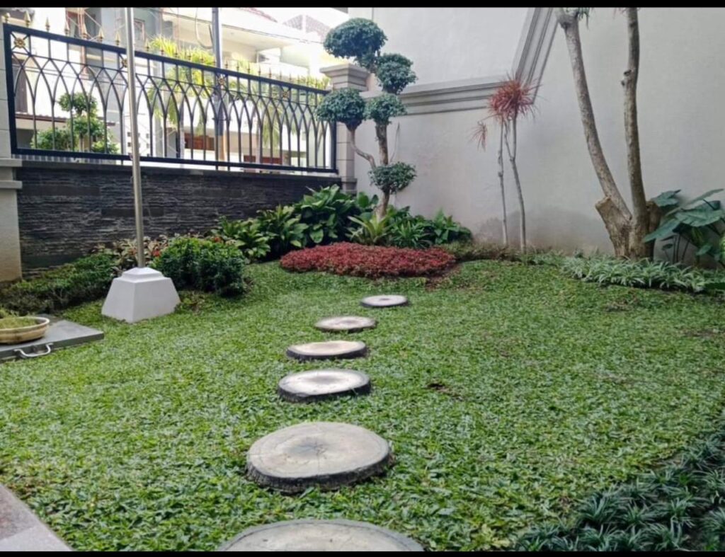 WhatsApp Image 2025-10-20 at 09.24.19_4cd75b80