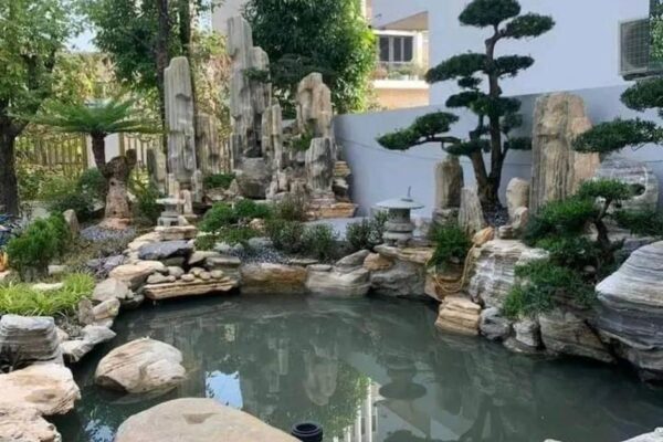 WhatsApp Image 2025-10-20 at 09.24.20_77e5258c